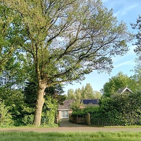 Ruim Huisje Op Een Prachtige Plek Hemrik Esterno foto