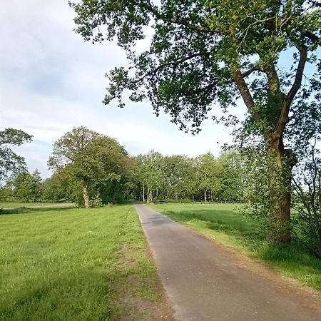 Ruim Huisje Op Een Prachtige Plek Hemrik Esterno foto