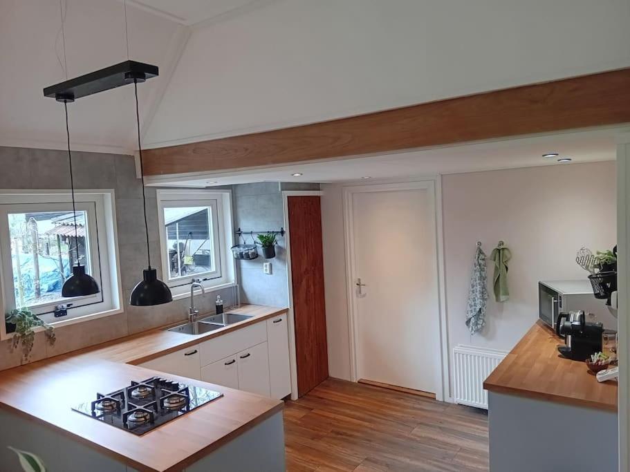 Ruim Huisje Op Een Prachtige Plek Hemrik Esterno foto