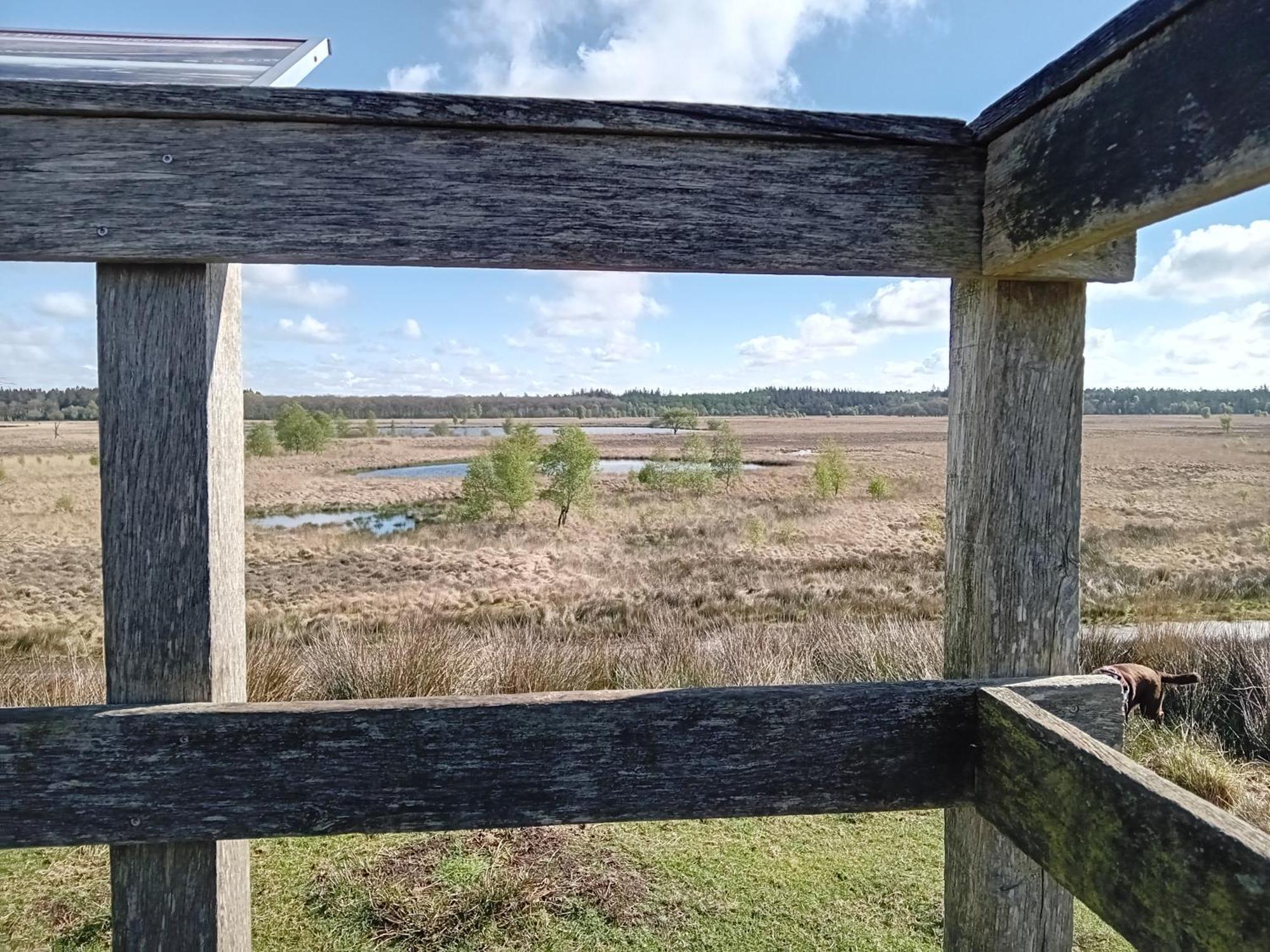 Ruim Huisje Op Een Prachtige Plek Hemrik Esterno foto