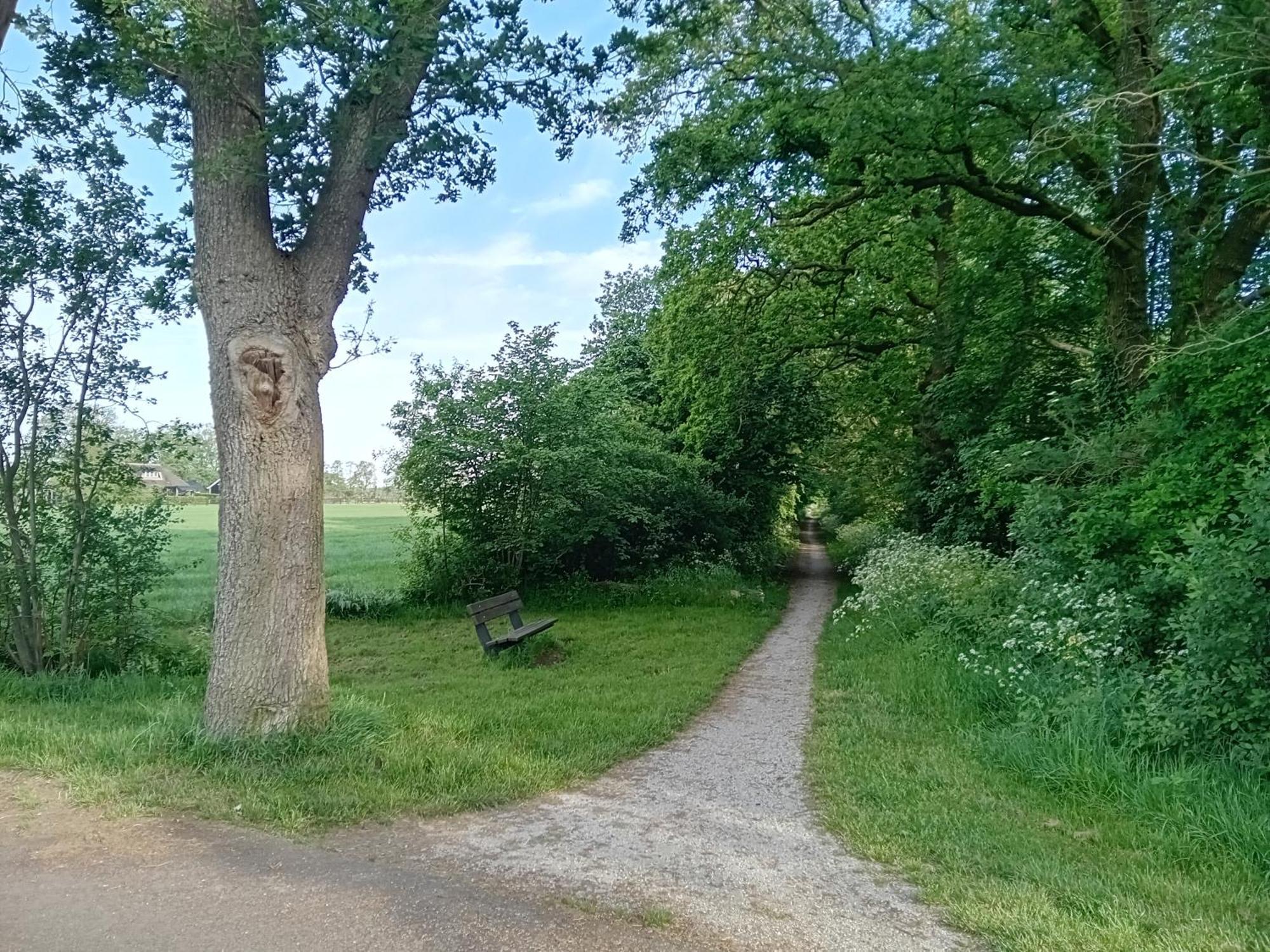 Ruim Huisje Op Een Prachtige Plek Hemrik Esterno foto