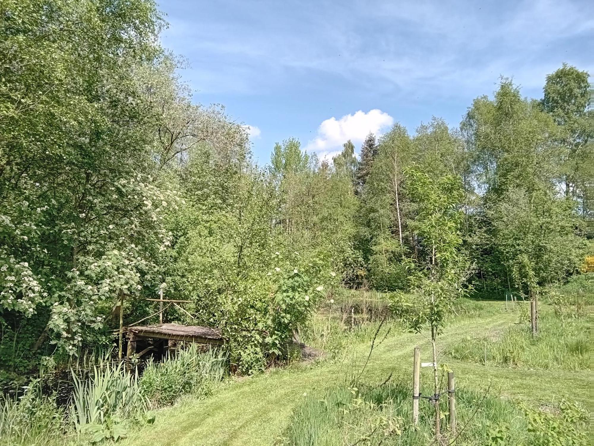 Ruim Huisje Op Een Prachtige Plek Hemrik Esterno foto